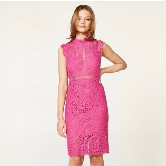 Bardot Lace Panel dark pink size 10. - Picture 6 of 8